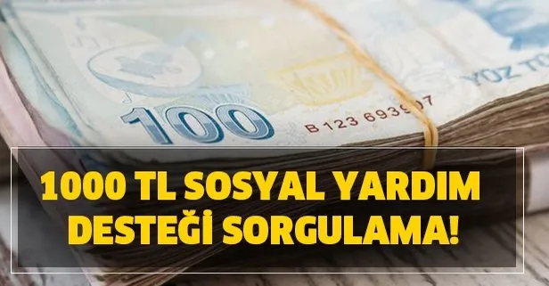 E Devlet 1000 Tl Yardim Parasi Kimlere Verilecek 1000 Tl Sosyal Yardim Destegi Sorgulama Takvim
