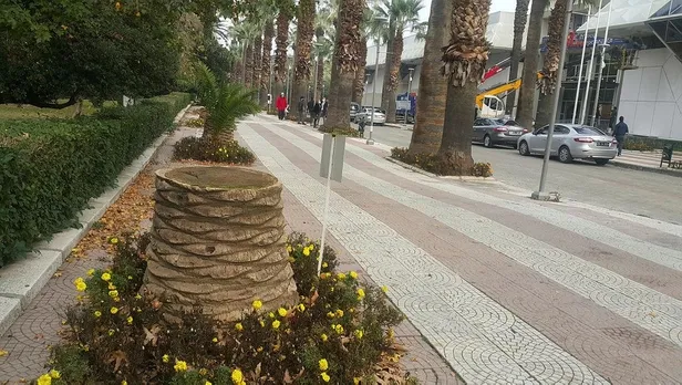 chpli-belediyelerin-doga-katliami-devam-ediyor-istanbuldaki-skandalin-ardindan-izmirde-de-900-palmiyeyi-kesip-1648251356494.jpeg CHP'li belediyelerin doğa katliamı devam ediyor! İstanbul'daki skandalın ardından İzmir'de de 900 palmiyeyi kesip attı.-3