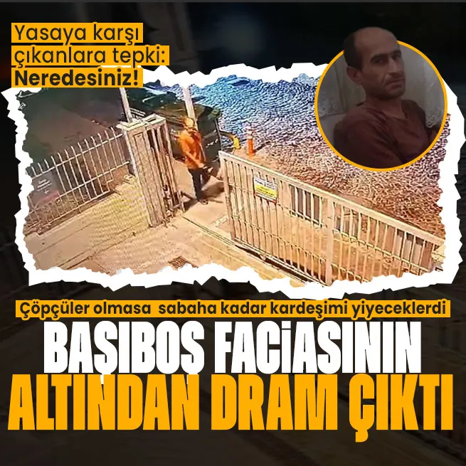 Fatihte başıboş köpek saldırısının altından dram çıktı! Ayhan Özçelikin yakınları anlattı: Başıboş köpek yasasına karşı çıkanlara tepki!