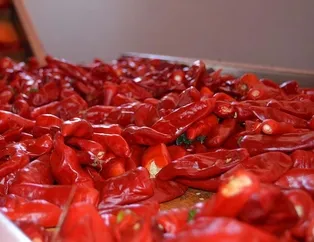Kırışıklık için acı biber