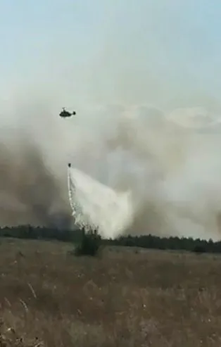 Edirne'de orman yangını! Söndürme çalışması sürüyor