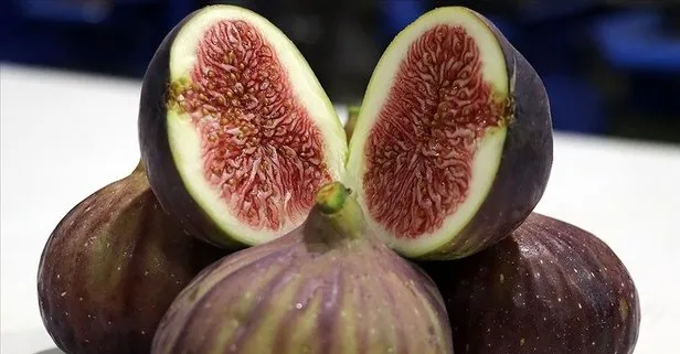 Alzheimer ile savaşan incir hangi hastalıklara karşı koruma sağlar?