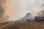 Bursa’da orman yangını | VİDEO