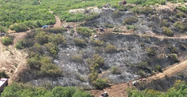 Bursa’daki orman yangınında flaş gelişme! 1 şüpheli tutuklandı