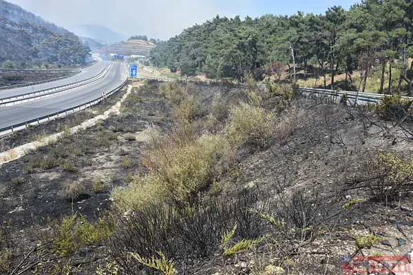 İzmir Bornova'da orman yangını: O yol kapatıldı - 25