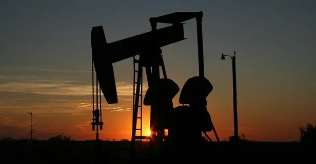 Bakanlık 491 maden sahasını ihaleye çıkıyor