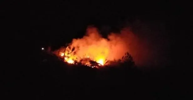 Adana’nın Kozan ilçesindeki orman yangını kontrol altına alındı