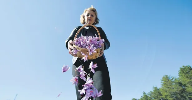 Kilosunu 50-60 bin TL'den satılıyor! Safran hamlesi çok kazandırıyor