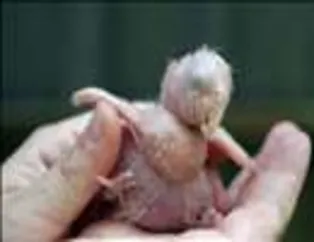 İlginç Kareler - 1