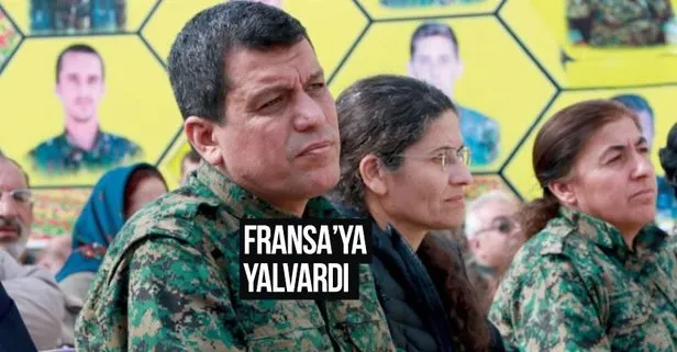 Trump'a mektup yazdı İsrail'den yardım istedi... PYD elebaşı İlham Ahmed bu kez de Fransa'ya yalvardı: "Asker gönderin"