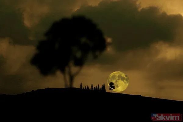 Kanlı AY tutulmasından etkilenen burçlar hangileri? 🌒 AY tutulması Boğa, Yay, Aslan, Koç, Balık, Akrep, İkizler nasıl etkilenecek? - 20