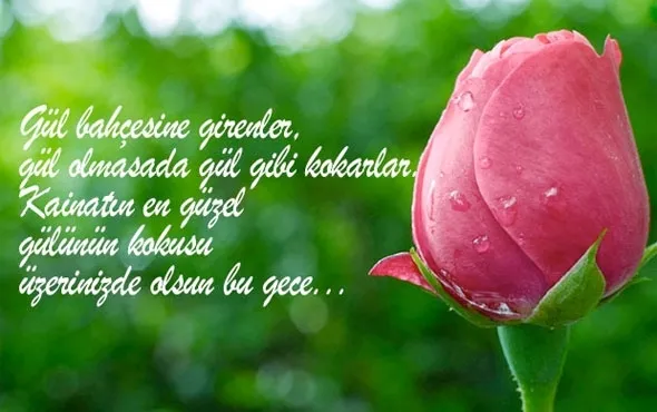 Berat Kandili mesajları - En güzel Berat Kandili mesajları...