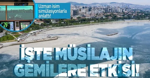 Son dakika: Marmara’yı işgal eden müsilaj ekonomiyi de vuracak! İşte müsilajın gemilere etkisi!