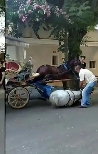 Büyükada'da faytona sürülen atın içler acısı hali