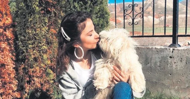 Sivas'ta yaşayan İrem Çevik kaybolan köpeği Hera'yı getirene ödül verecek (Yaşam haberleri)