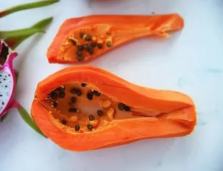 Cilde papaya