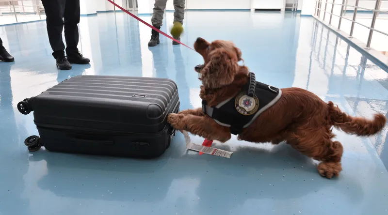 Uyuşturucuyla yakalanan 'Business Class' yolcuları: Kebap yemeye geldik - 8