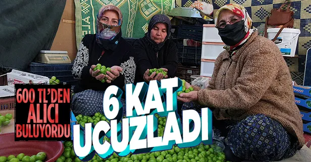 Kilosu 600 TL'den satılıyordu! Erkenci eriğin kilosu 90TL'ye kadar indi