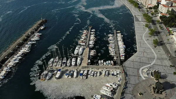 Son dakika: Çevre ve Şehircilik Bakanı Murat Kurum müsilajdaki son durumu açıkladı!-5