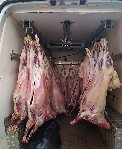 Adana'da kaynağı belli olmayan 2 ton et ele geçirildi-3