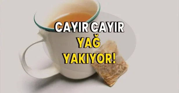 Bu çayı daha önce duymayanlar çok şaşıracak! Göbek yağlarını eritiyor!