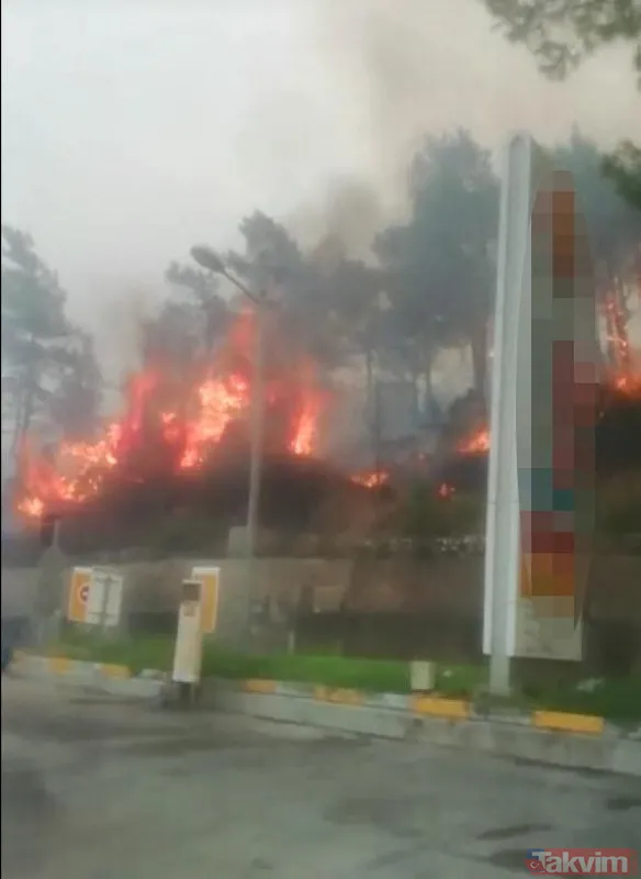 Marmaris'teki yangını '2 çocuk çıkardı' şüphesi: İfadeleri pedagog eşliğinde alınacak - 18