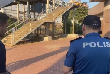 Cani anne bebeğini doğurduktan sonra poşete koymuş!