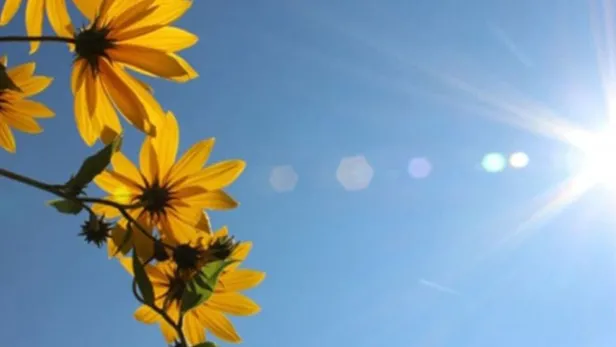 Pastırma yazı ne zaman başlayacak? Pastırma sıcakları ne zaman gelecek? Sıcaklıklar ne kadar olur, kaç gün sürer?-2