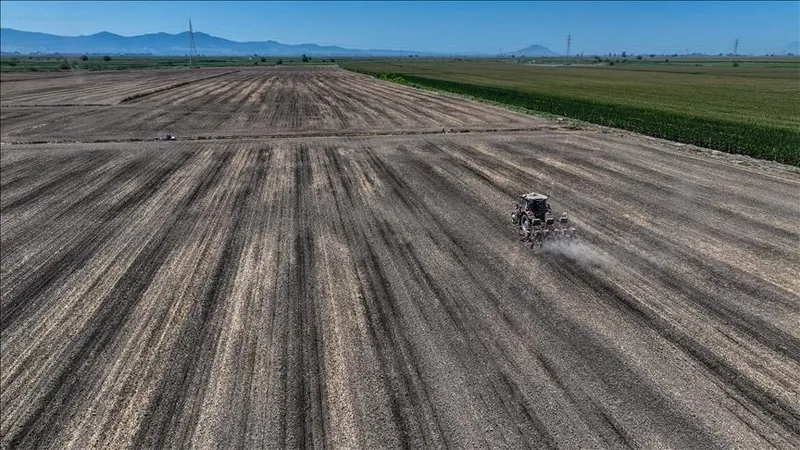 İki yıl üst üste işlenmeyen tarım arazileri kiraya verilecek! Karar Resmi Gazete'de-3