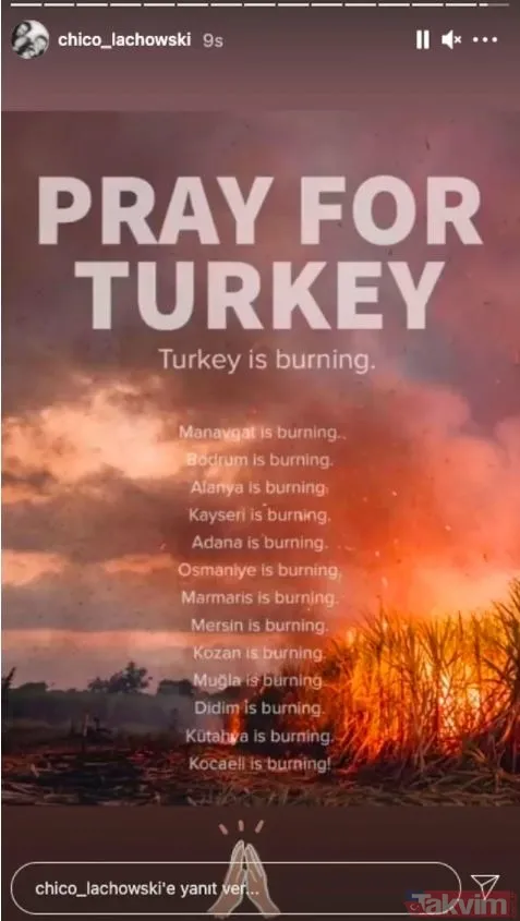 Dünyaca ünlü isimler orman yangınlarının ardından Türkiye’ye destek oldu! Paylaşımlar peş peşe geldi Dua Lipa, Bella Hadid, Inna... - 6