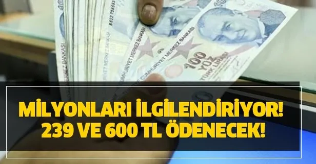 Yardim Alma Basvuru Sartlari Nedir Basvuran Herkese Devletten 2 Yilda 239 600 Tl Mama Bez Ve Sut Yardimi Takvim