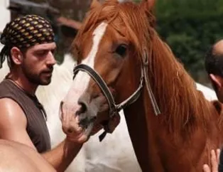 Havada 'Issız Adam' krizi