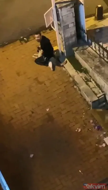 Sarıyer'de köpeği boğmaya çalışan şahsın ifadesi ortaya çıktı! Pes dedirten 'alkol' savunması - 1