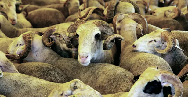 https www takvim com tr guncel 2021 05 27 kurban bayrami ne zaman 2021 kurban bayrami tatili kac gun surecek