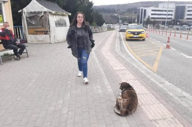 Üniversite öğrencisine kampüste köpek saldırısı! "Hala onun travmasını yaşıyorum"