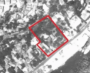 Kurul durdurdu, Koç Holding umursamadı! Tarihi alanda 14 türde 55 ağaç kestiler