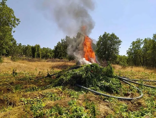 Son dakika: Diyarbakır'da uyuşturucu operasyonu: 1 ton 183 kilogram esrar ele geçirildi-5