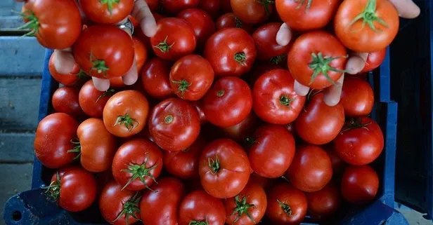 Bu besinleri tüket mutlu ol: Uzmanlar, dümdüz bir karna sahip olacağınız o besinleri sıraladı (Sağlık haberleri)