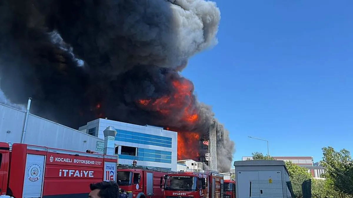 Tuzla'da fabrika yangını! Ormanlık alana sıçradı | Görgü tanığı anlattı: "10 dakikada fabrikayı sardı"