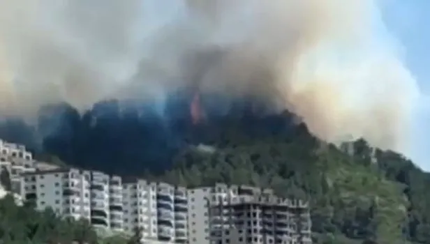 Hatay'da orman yangınları: Çok sayıda ekip sevk edildi!