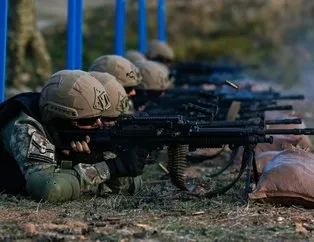 Hainler artık Amanos’a sızamıyor