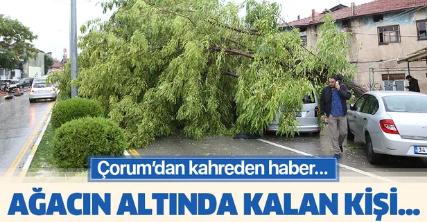 Olumsuz hava şartları hayatı durma noktasına getirdi