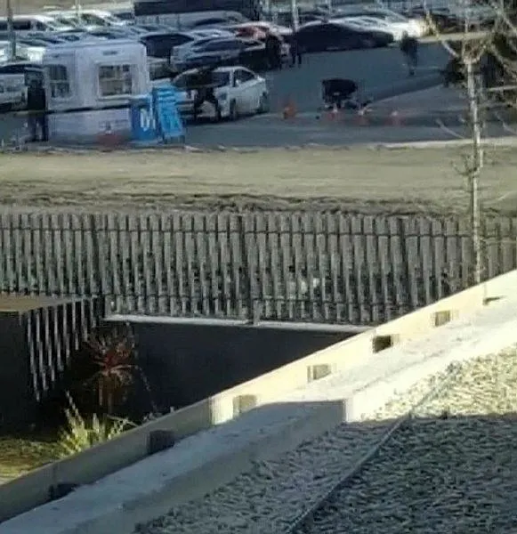 son-dakika-kucukcekmece-adliyesinde-silahli-kavga-olu-ve-yaralilar-var-1648136464792.jpeg Son dakika: Küçükçekmece Adliyesi'nde silahlı kavga! Ölü ve yaralılar var-5