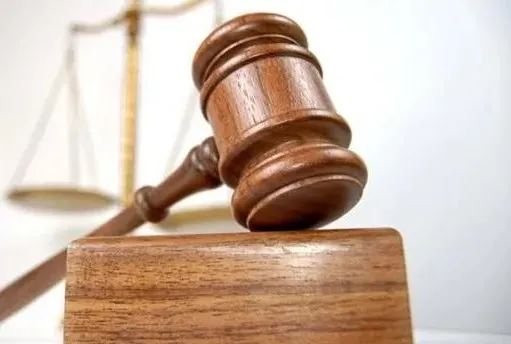 ELAZIĞ ASLİYE 1. HUKUK MAHKEMESİ