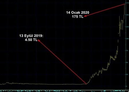Borsa'da bu hisse 117 günde 45 katı kazandırdı! 4 bin liralık yatırım 4 ayda 175 bin TL oldu!-2
