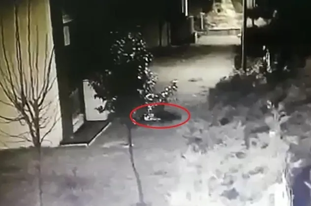 Türkiye'nin konuştuğu olay: Sedefnur'un balkondan düştüğü an kamerada