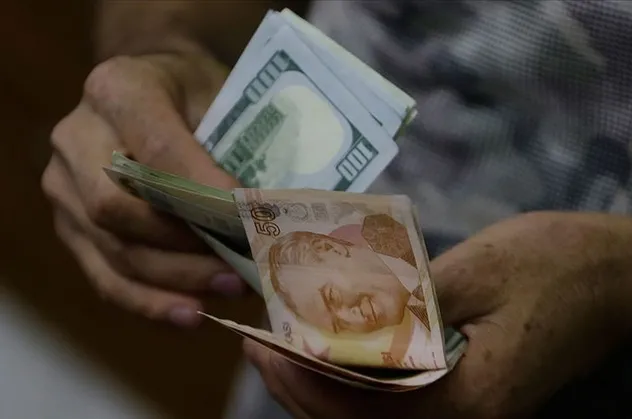 Dolar, euro, altın, borsa, faiz... Haziranda en çok hangisi kazandırdı? | TÜİK Haziran 2022 reel getiri oranları