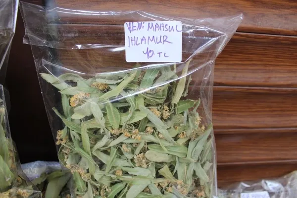 kilosu-400-lira-600-liraya-kadar-cikabilir-gribin-kalkani-ihlamur-1634624710048.jpg Kilosu 400 lira 600 liraya kadar çıkabilir! Gribin kalkanı ıhlamur-8