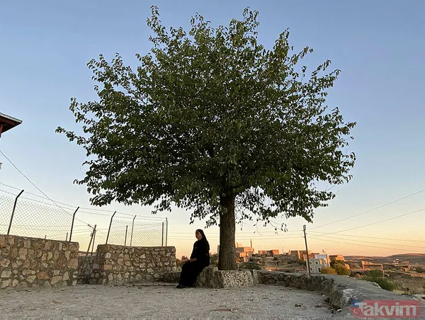 Midyatlı rahibe 36 yıl sonra doğduğu köyüne döndü: Biz dönmek istiyoruz - 6