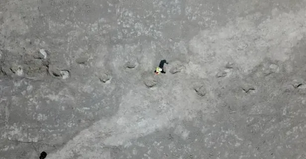 İngiltere'de 166 milyon yıllık keşif: "200 dinozor ayak izi bulundu"